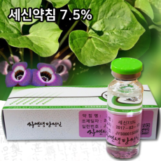 세신약침