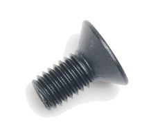 SCM
